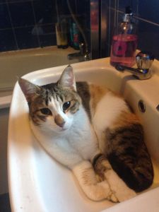 10013568_10152265952785664_51952726_n