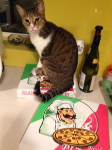 1608592_10152147060830664_423629684_n